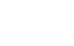 Thrustmaster